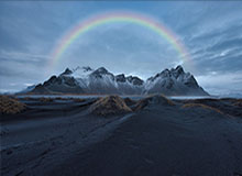 官方网站的力量：信任、透明与品牌策略的桥梁