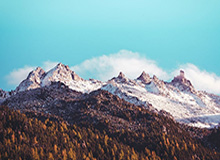 半岛体育：让热爱成为日常的力量